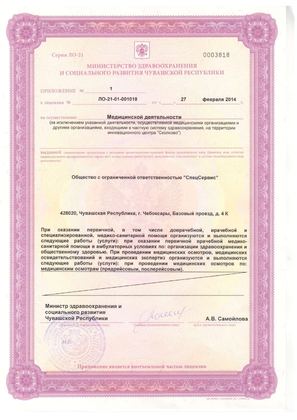 Лицензия на медицинскую деятельность: Приложение № 1